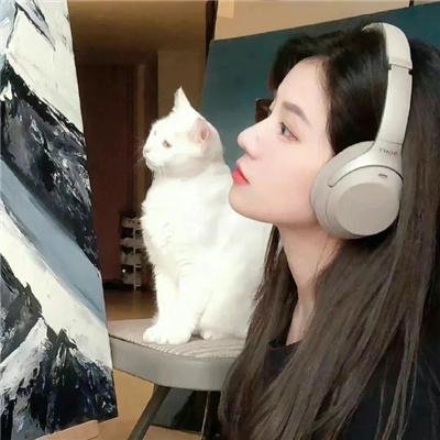 恋琴痴凤
